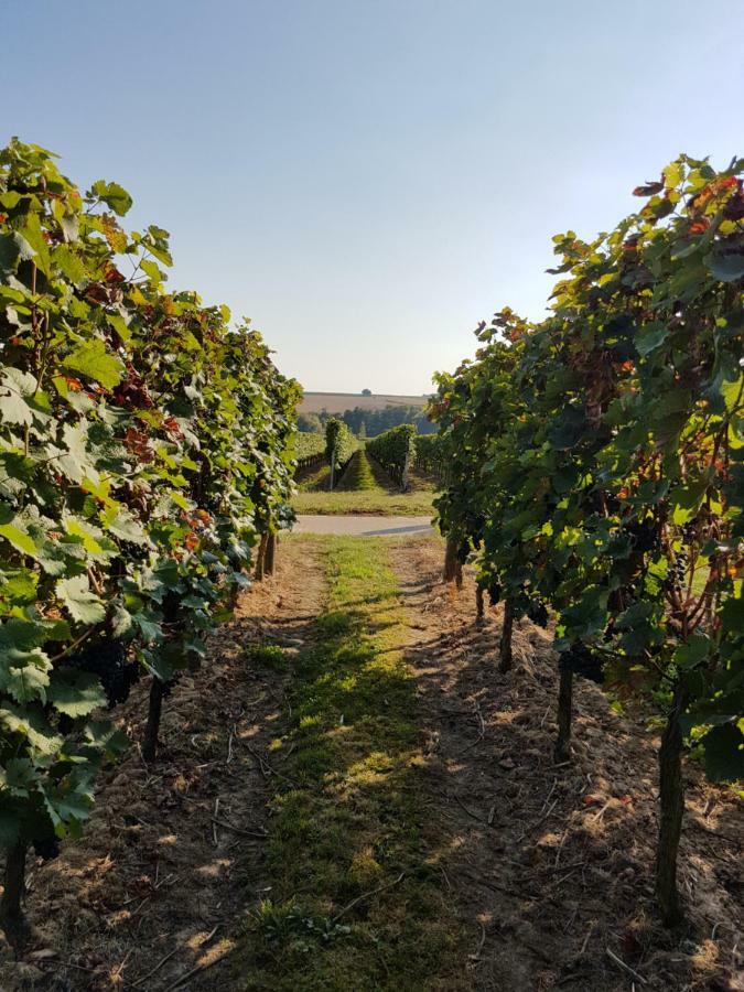 Weingut & Gaestehaus Nagel Kapellen-Drusweiler Eksteriør bilde