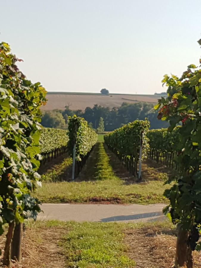 Weingut & Gaestehaus Nagel Kapellen-Drusweiler Eksteriør bilde